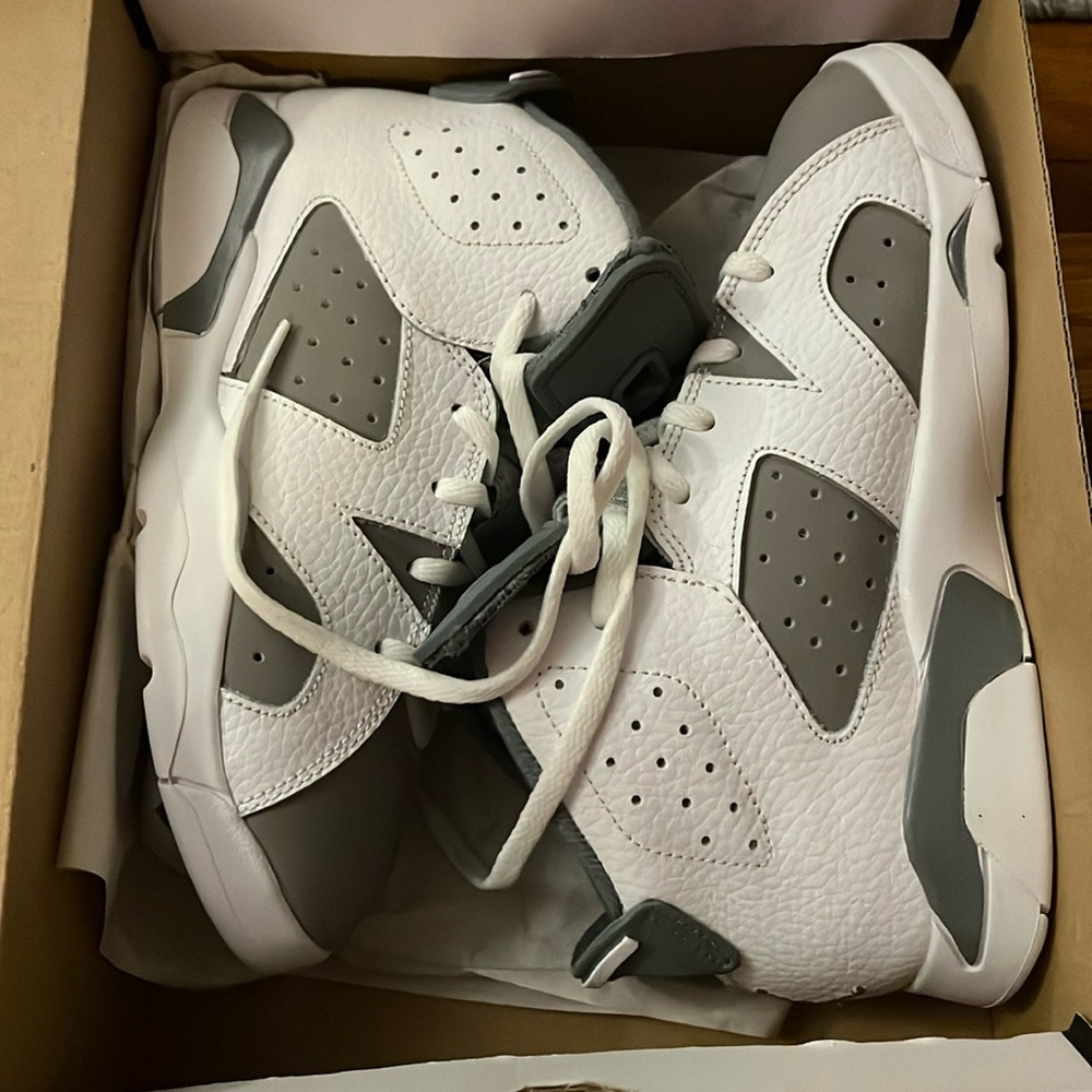 NIB Jordan retro 6
